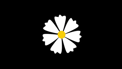 Blumenblüten-Symbol-Loop-Animationsvideo,-Transparenter-Hintergrund-Mit-Alphakanal